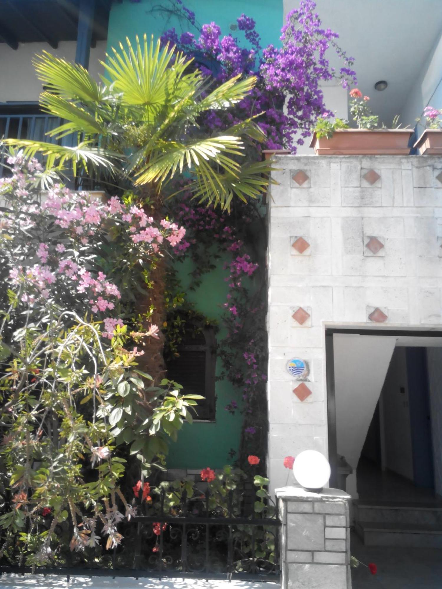 Tassos 2 Aparthotel เปฟโกโฮรี ภายนอก รูปภาพ